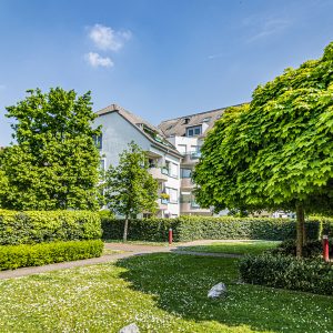 Grüne Wohnen am Wald